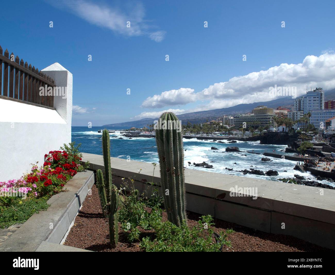 Vue sur la mer et la côte avec des cactus et des fleurs au premier plan et une ville en arrière-plan Banque D'Images