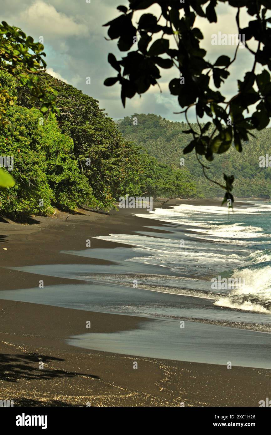 Forêt tropicale de plaine et plage avec sable volcanique noir, dans la réserve naturelle de Tangkoko, Nord Sulawesi, Indonésie. Banque D'Images