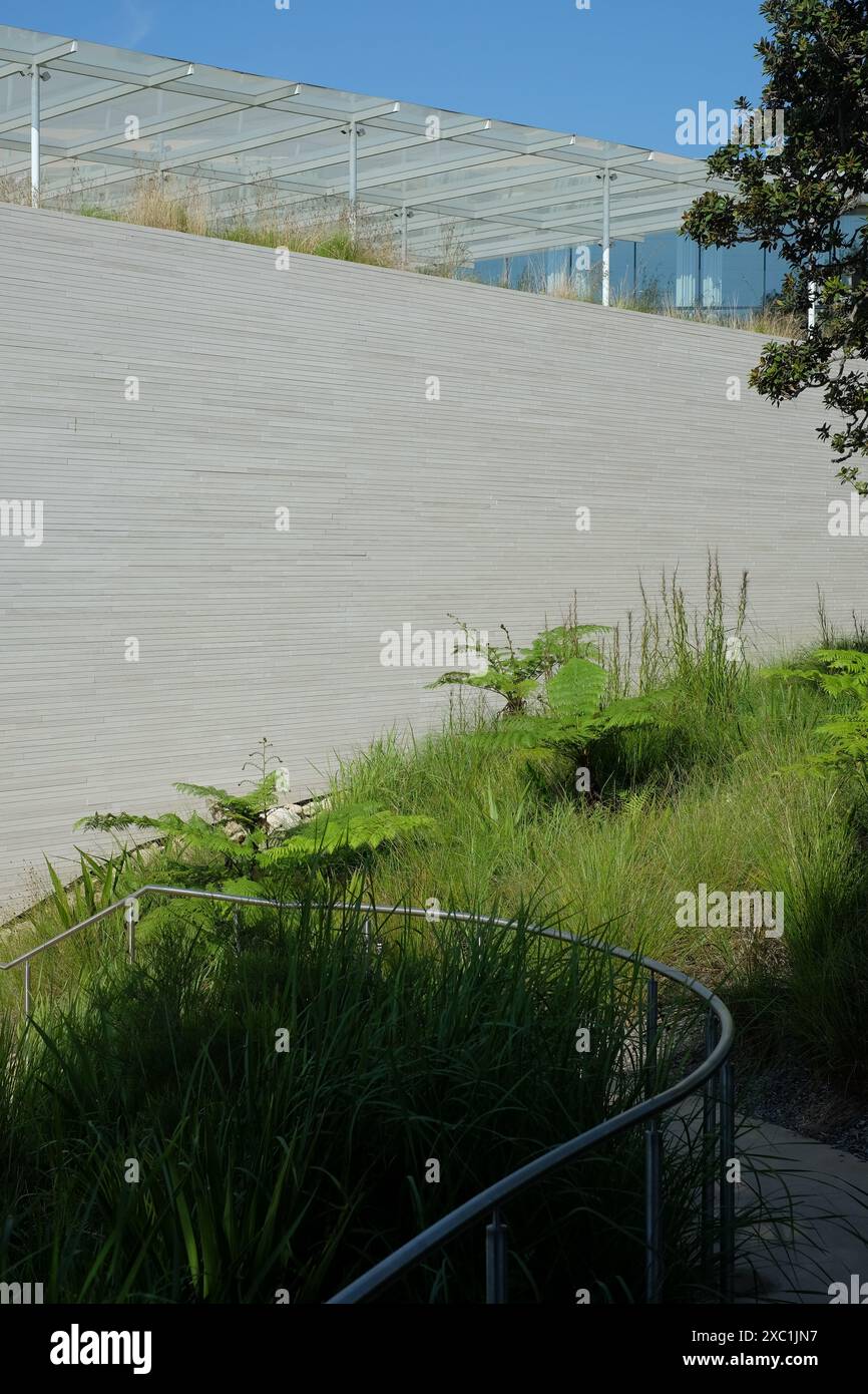 Mur de pierre. Toit en verre, plantations d'herbe indigène et aménagement paysager autour de l'aile moderne de Sydney de la galerie d'art de Nouvelle-Galles du Sud Banque D'Images