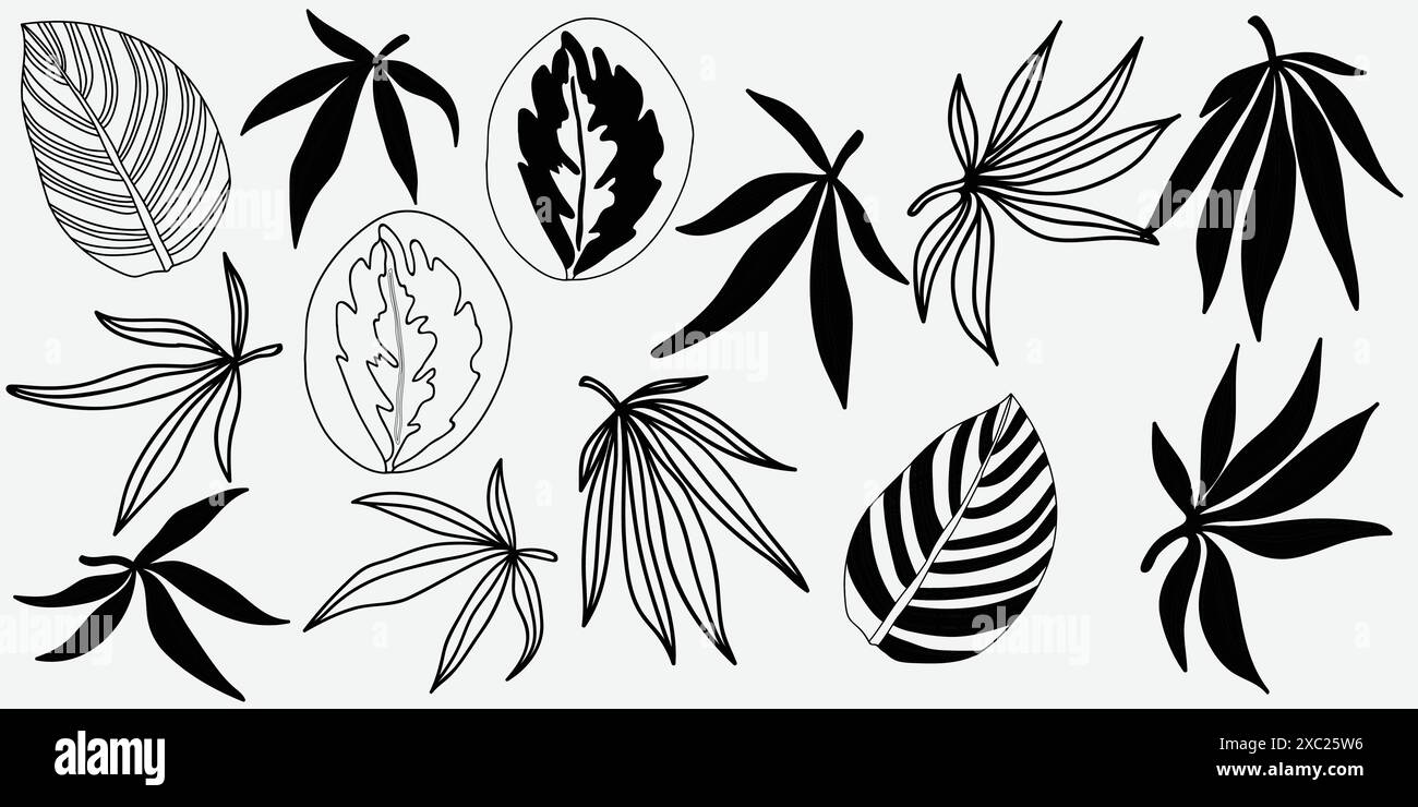 Illustration des fleurs sur fond blanc. Illustration vectorielle. Illustration de Vecteur