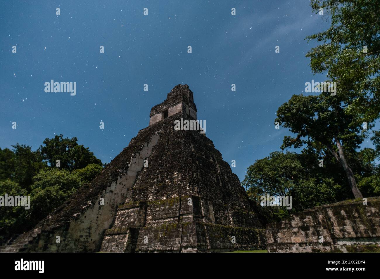 Pyramide du grand jaguar à Tikal Guatemala sous les étoiles Banque D'Images