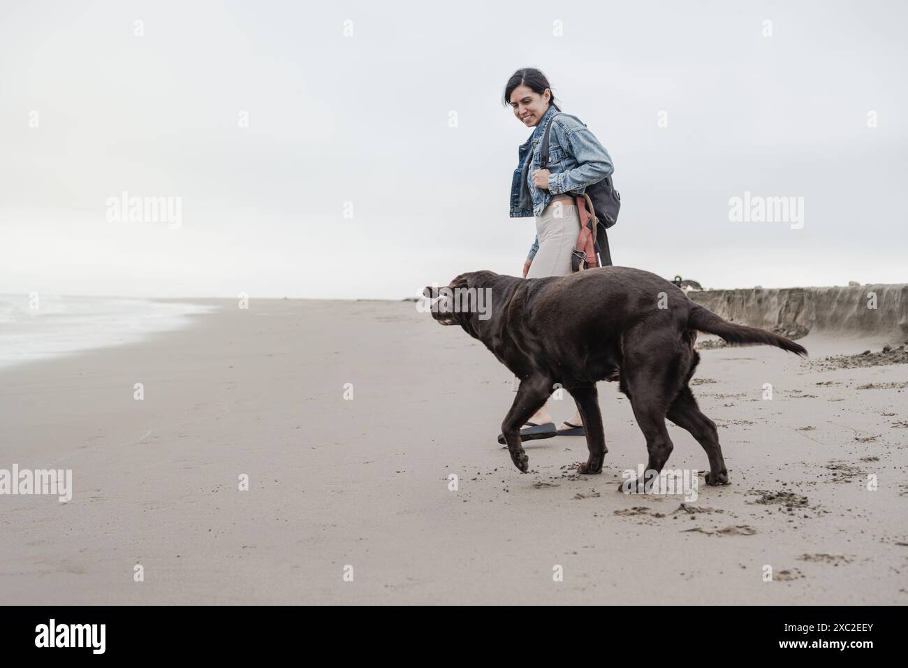 Femme promenant un chien Labrador âgé sur la plage un jour d'automne Banque D'Images