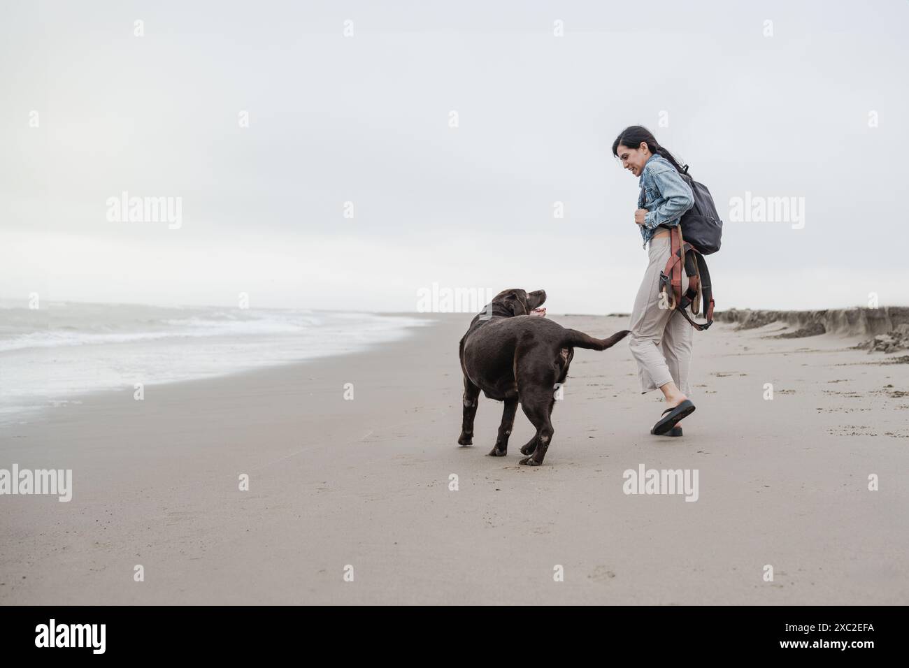 Femme promenant un chien Labrador âgé sur la plage un jour d'automne Banque D'Images