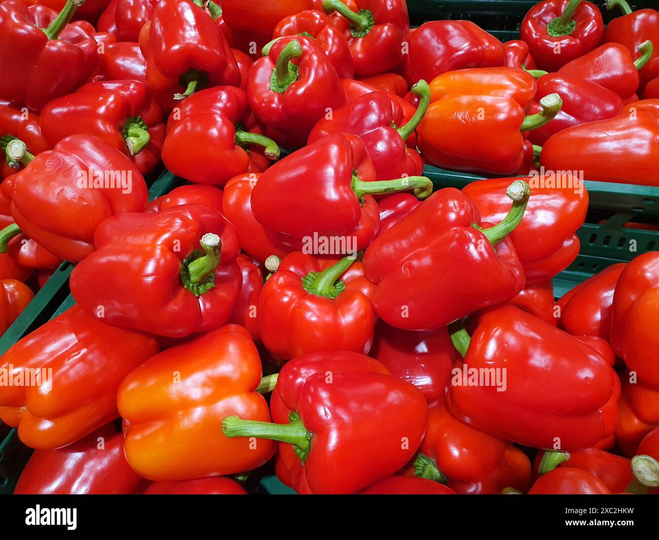 Poivrons rouges et oranges vifs empilés sur le marché Banque D'Images