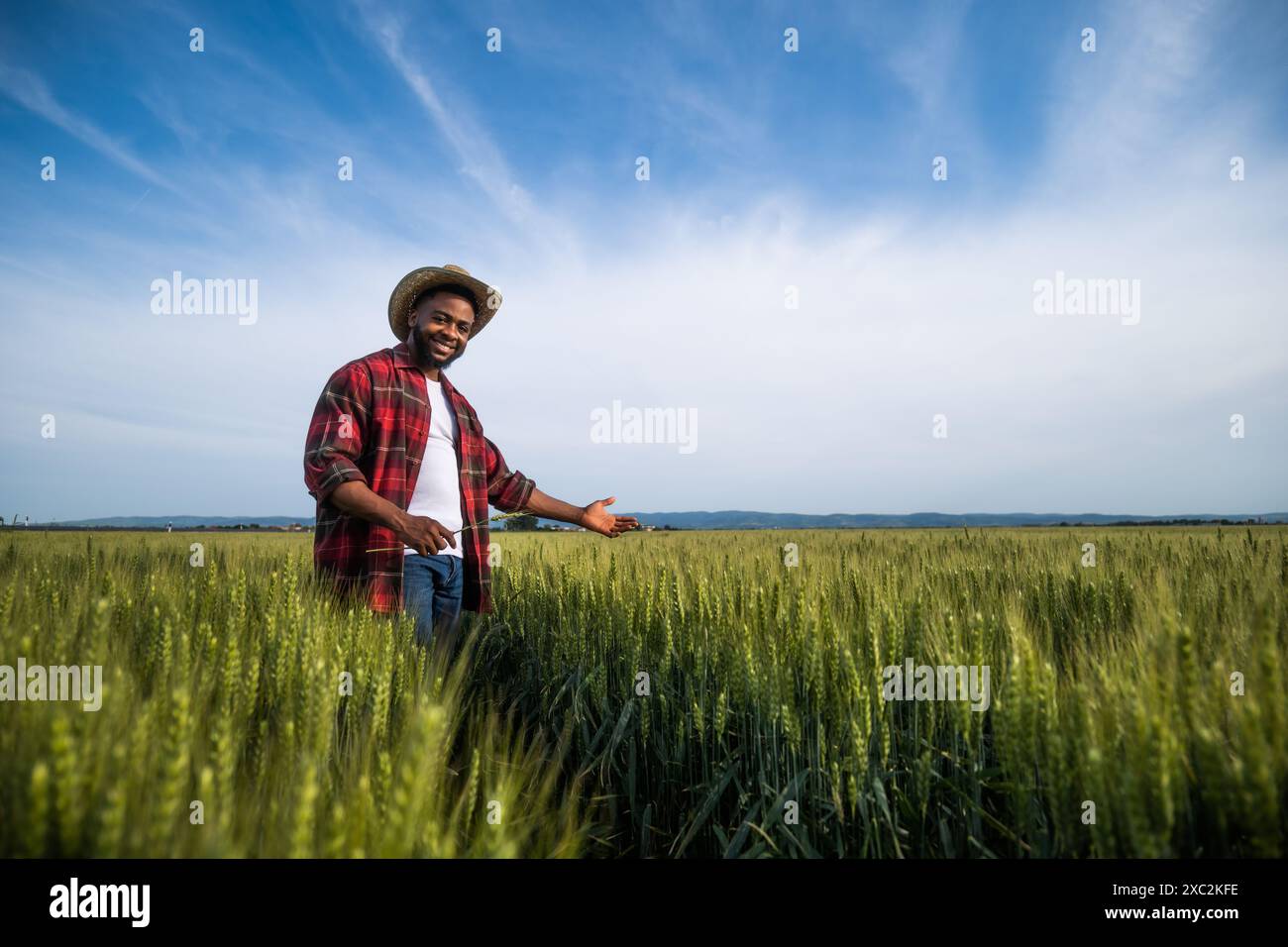 Jeune heureux heureux fermier montre son champ de blé en pleine croissance. Banque D'Images