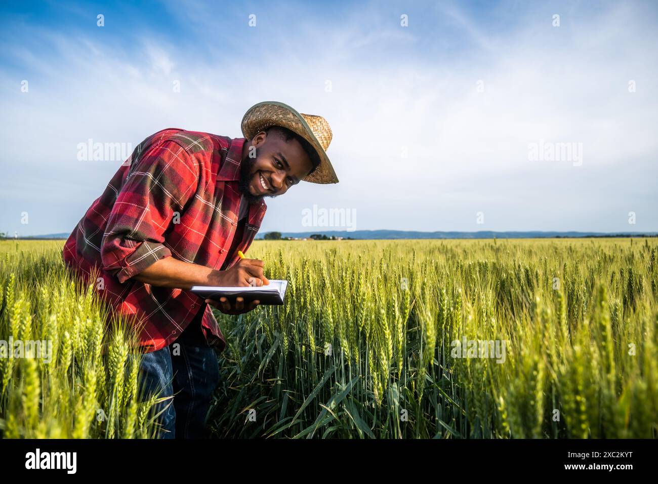 Un jeune agriculteur écrit des notes dans son champ de blé en pleine croissance. Banque D'Images