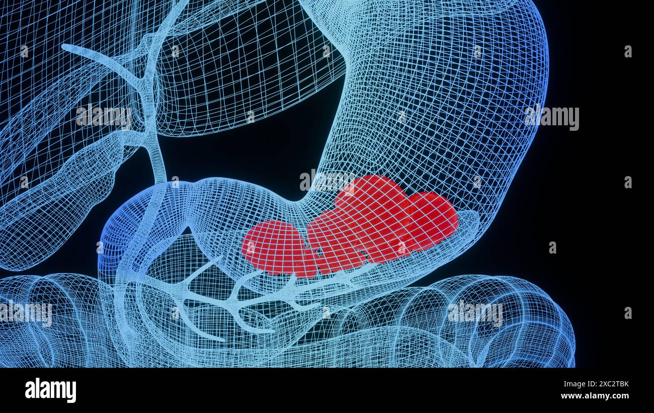 Anatomie de l'estomac humain digestion, oesophage abdomen gastrique avec digestif acide, contraction de la paroi de l'estomac, organe interne, intestin gastrique, processus de la brea Banque D'Images