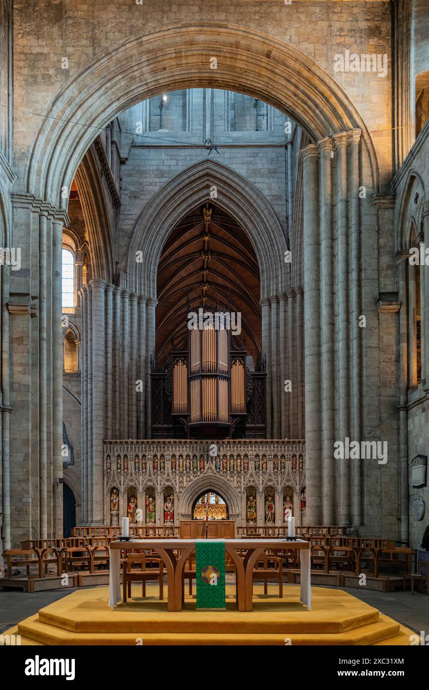 Intérieur de la cathédrale de Ripon montrant l'autel et le loft de l'orgue. North Yorkshire, Angleterre, Royaume-Uni. Banque D'Images