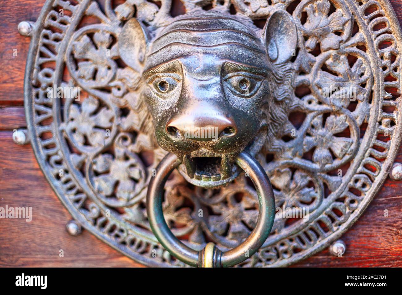 frappeur de porte en métal vintage avec un design complexe. Heurtoir de visage forgé monstre Banque D'Images
