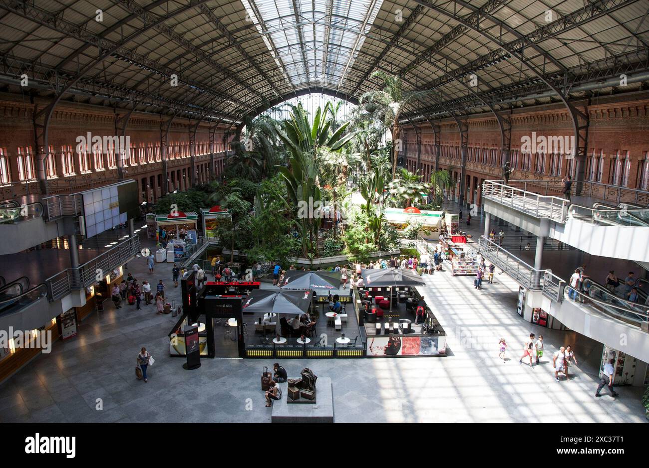 Madrid : gare d'Atocha, serre Banque D'Images
