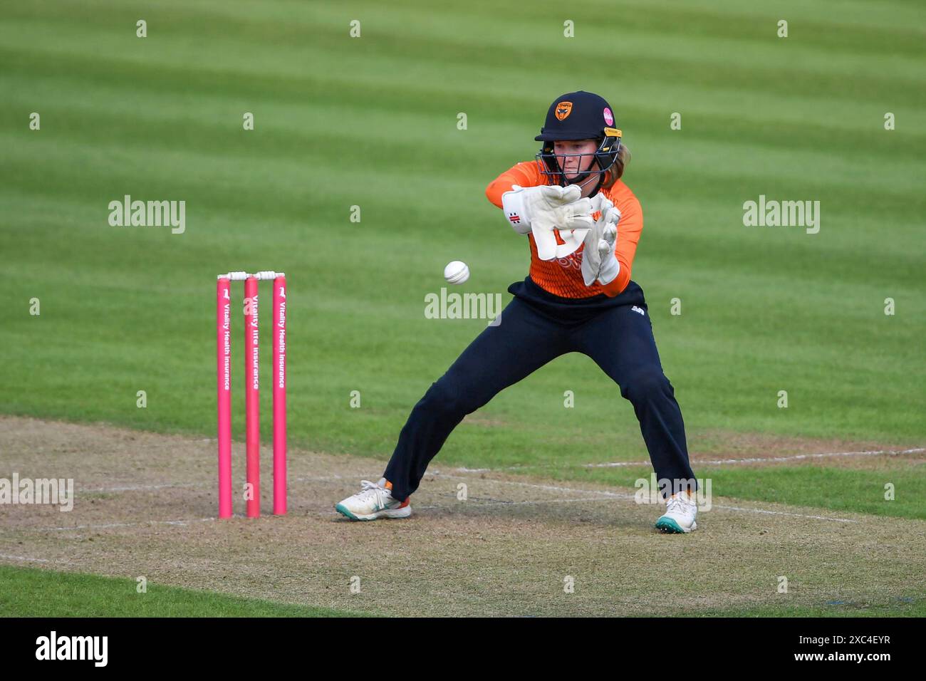 Southampton, Royaume-Uni. 14 juin 2024. Rhianna Southby des Southern Vipers lors du match de la Charlotte Edwards Cup entre Southern Vipers et Northern Diamonds au Utilita Bowl. Crédit : Dave Vokes/Alamy Live News Banque D'Images