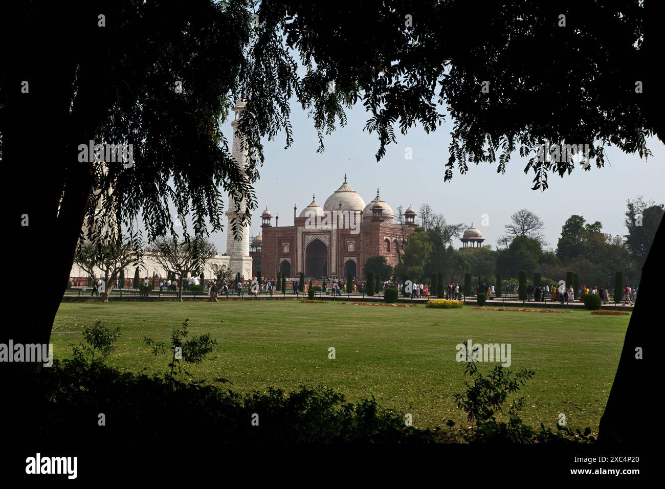 Agra, Inde : Mosquée du Taj Mahal. Banque D'Images