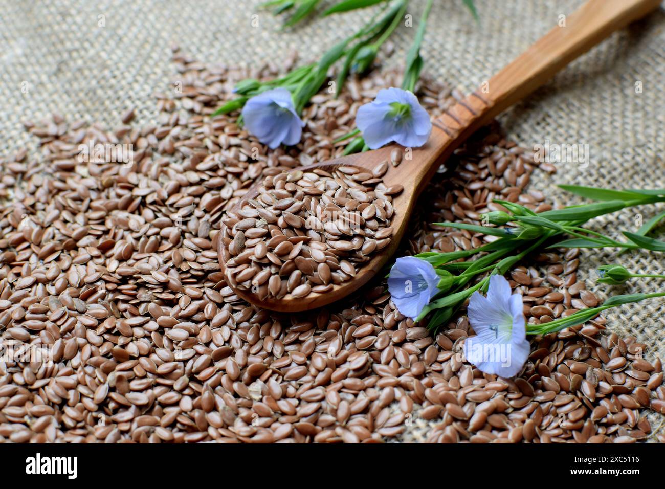 Les graines de lin reposent dans une cuillère en bois sur une toile de jute rugueuse et des fleurs de lin bleu. Banque D'Images