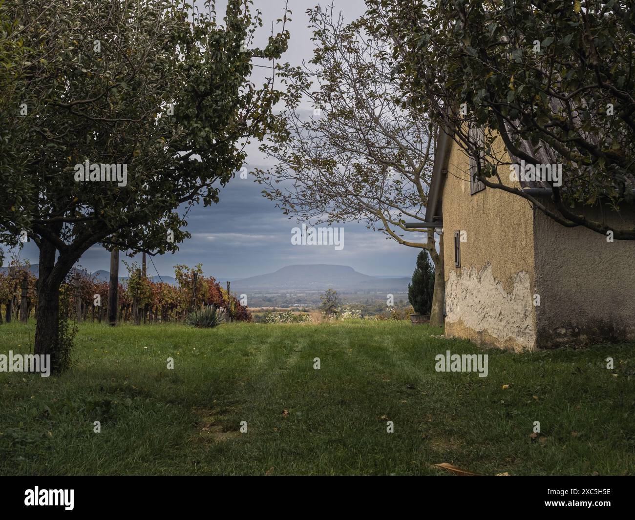 Paysage de vignes et vieux bâtiment avec la montagne Badacsony en arrière-plan au coucher du soleil en Hongrie, production de la région viticole Banque D'Images