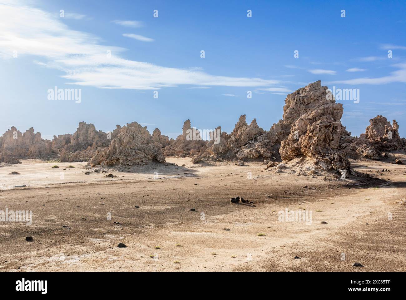 Cheminées préhistoriques calcaires formations rocheuses géologiques au fond du lac séché, lac salé Abbe, région de Dikhil, Djibouti Banque D'Images