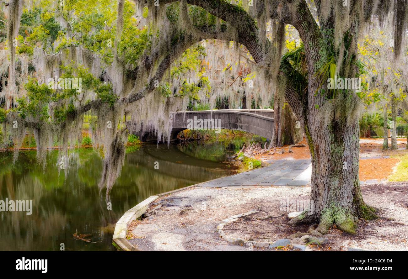 Une belle scène idyllique à City Park, Nouvelle-Orléans, Louisiane. Banque D'Images