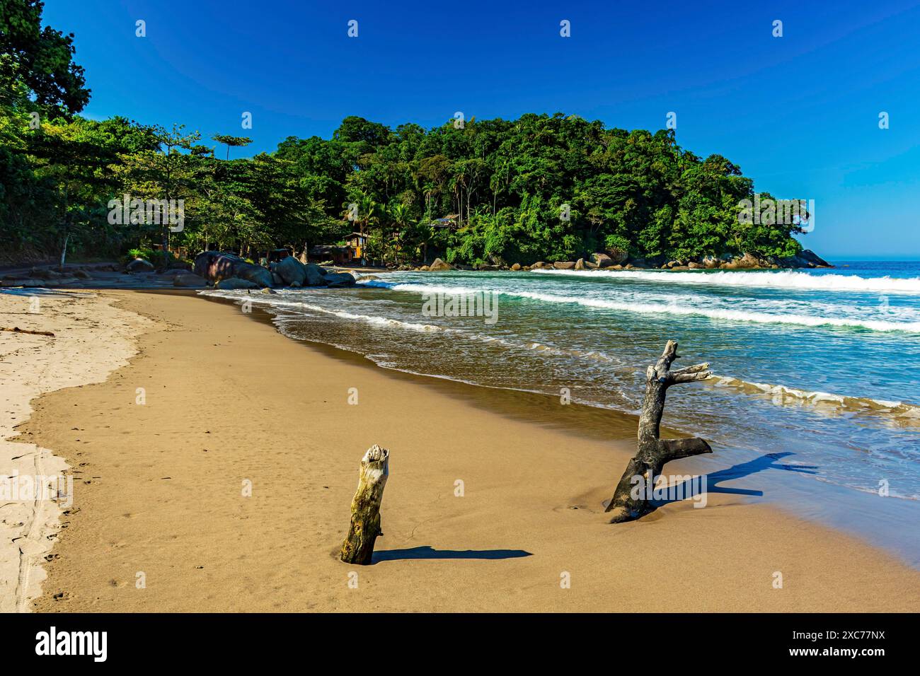 Plage de Castelhanos et mer, forêt et montagnes sur l'île d'Ilhabela à Sao Paulo, plage de Castelhanos, Ilhabela, Sao Paulo, Brésil Banque D'Images Plage de Castelhanos et mer, forêt et montagnes sur l'île d'Ilhabela à Sao Paulo, plage de Castelhanos, Ilhabela, Sao Paulo, Brésil Banque D'Images