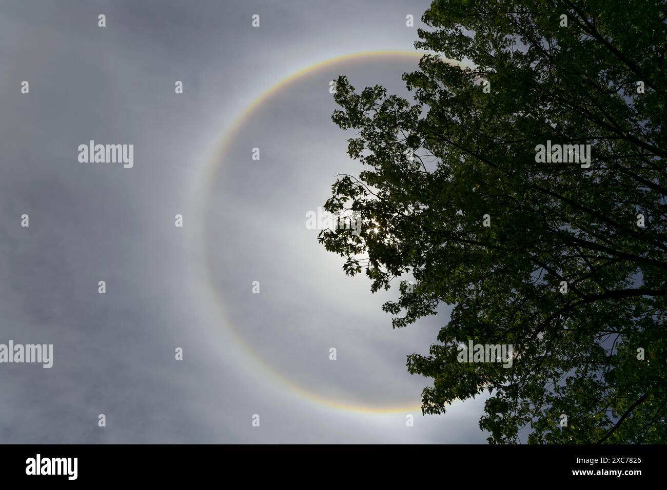 Nature, halo annulaire, phénomène atmosphérique, Province de Québec, Canada Banque D'Images