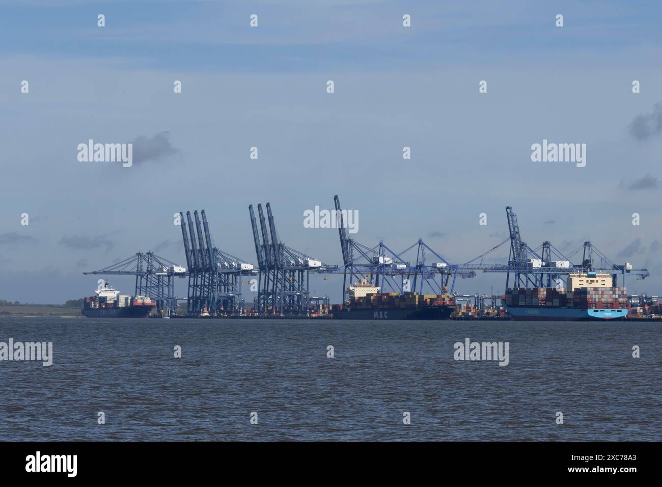 Porte-conteneurs au port de Felixstowe, Suffolk, Angleterre, Royaume-Uni Banque D'Images