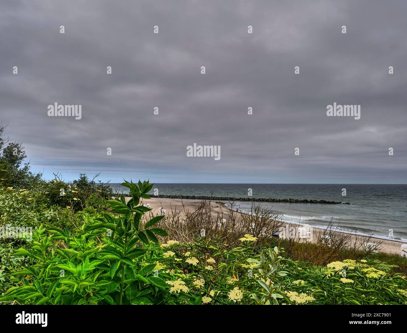 Paysage côtier avec plage de sable, vagues, végétation verte et ciel nuageux, ahrenshoop, zingst, allemagne Banque D'Images