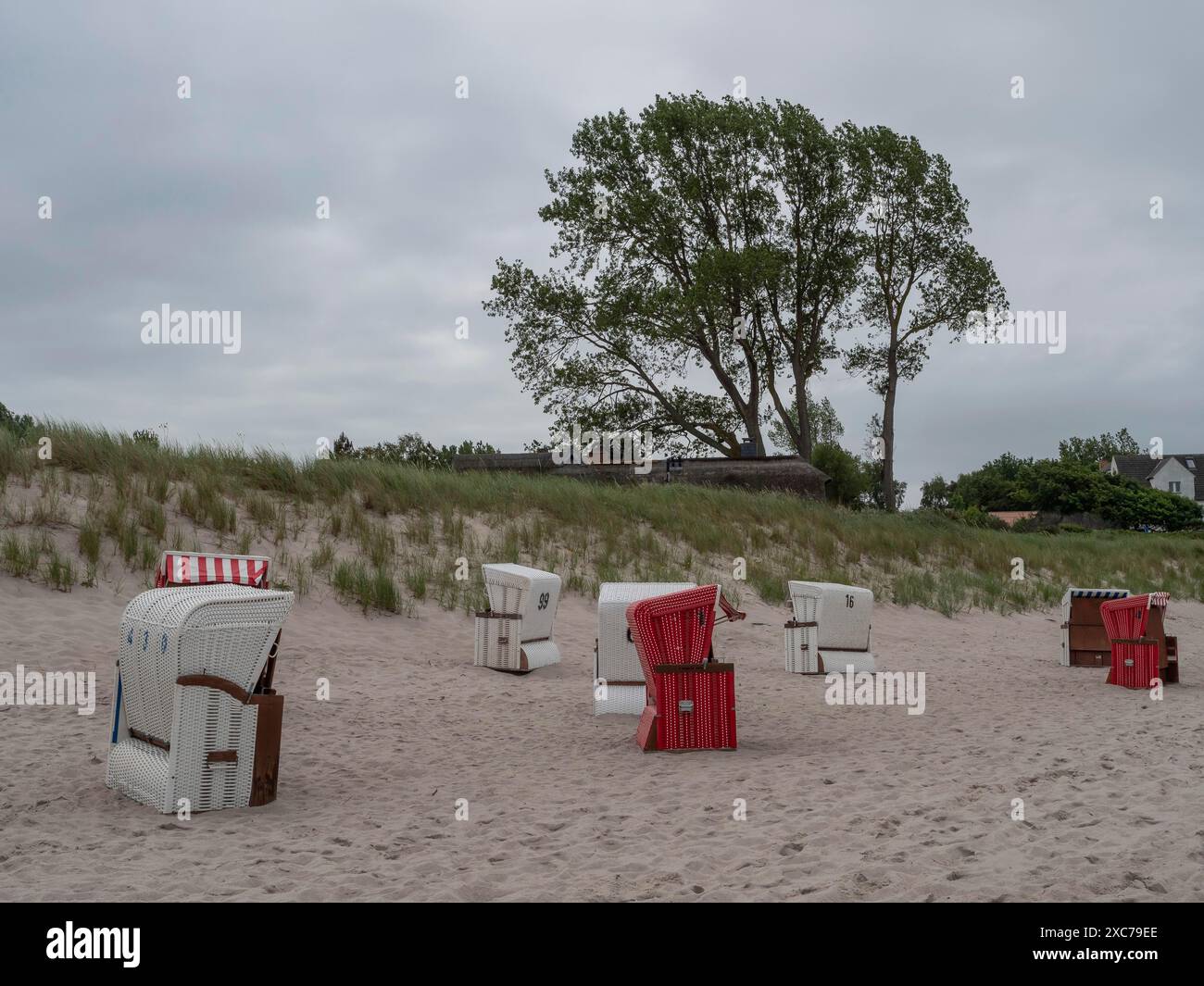 Plusieurs chaises de plage sur une plage de sable en face d'un arbre et une maison sous un ciel nuageux, ahrenshoop, zingst, allemagne Banque D'Images