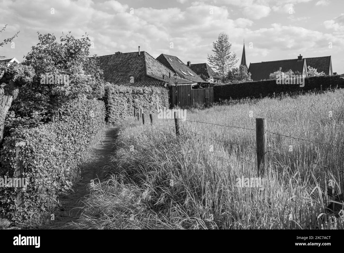 Chemin étroit à côté d'un pré avec une clôture et des maisons en arrière-plan sous un ciel nuageux, zutphen, gueldre, pays-bas Banque D'Images
