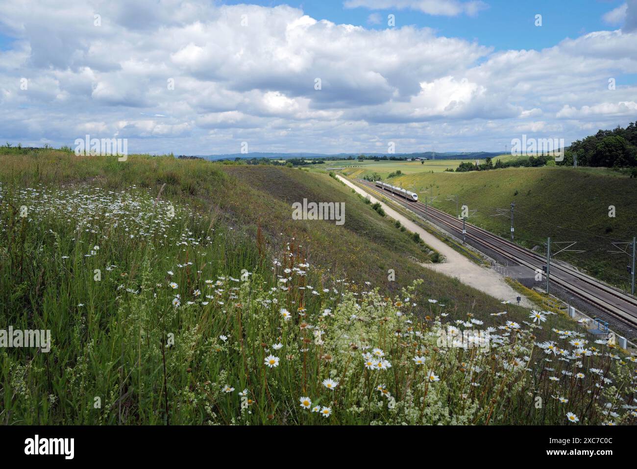 Un beau paysage en Franconie par une journée ensoleillée comme le train disparaît dans la distance. Grub am Forst, Allemagne Banque D'Images