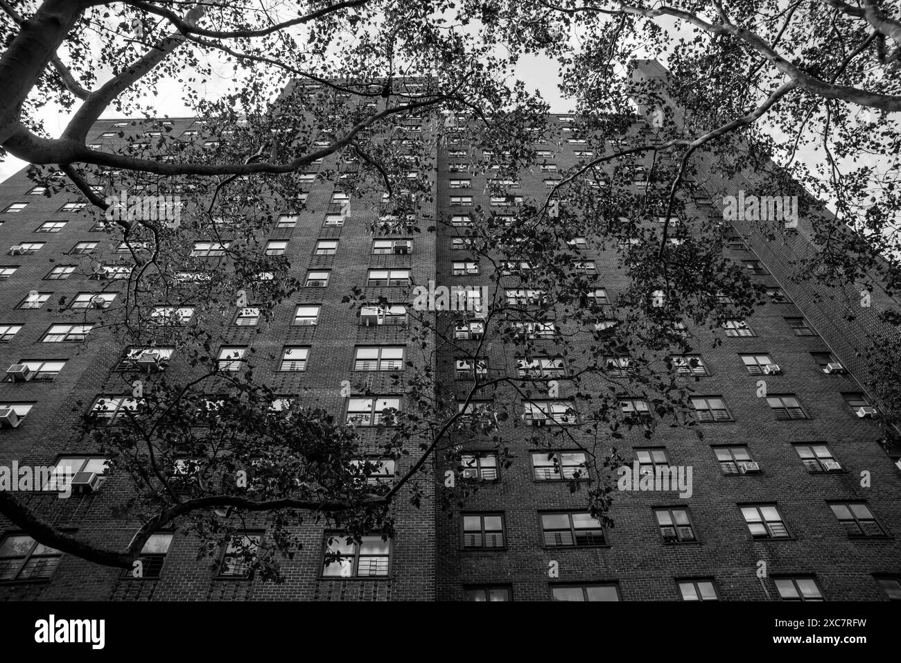 New York Black&White Banque D'Images