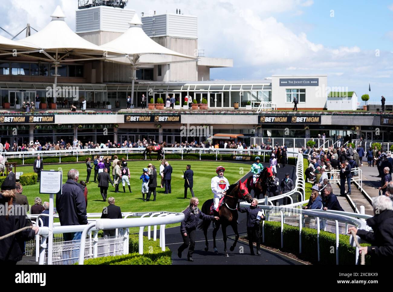 Brioni monté par le jockey Jamie Spencer dans le ring de parade avant le téléchargement de l'App BetMGM handicap à Sandown Park Racecourse, Esher. Date de la photo : samedi 15 juin 2024. Banque D'Images