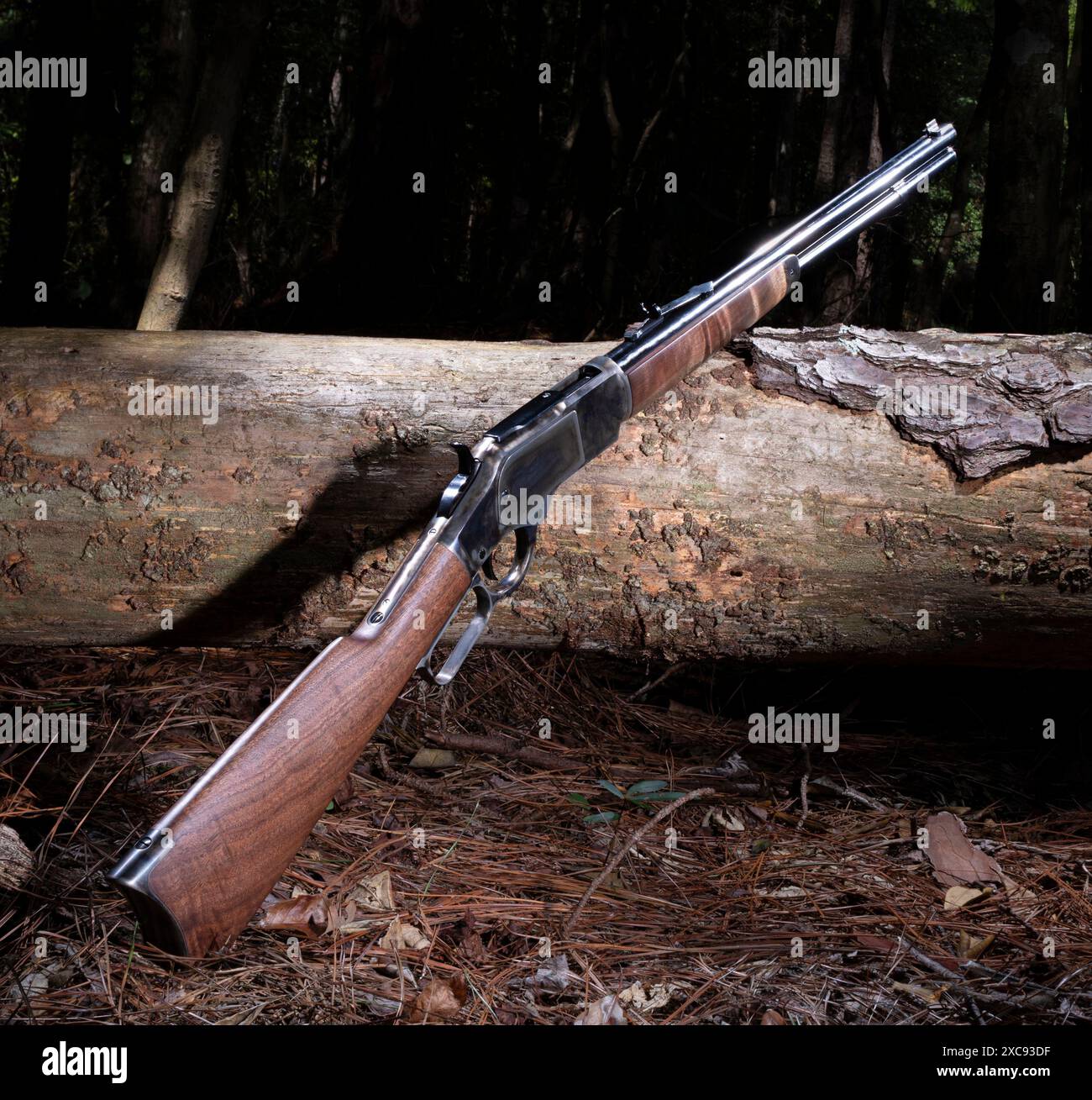 Fusil à action de levier dans une forêt qui devient sombre à l'approche du coucher du soleil. Banque D'Images