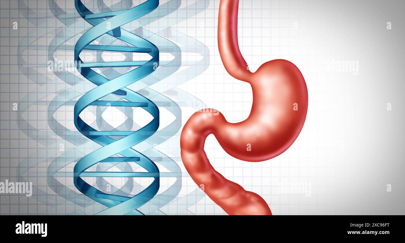 Digestion et génétique et troubles génétiques de l'estomac et maladie héréditaire de cancer gastrique ou ADN et le système digestif comme un médical et gastrointe Banque D'Images
