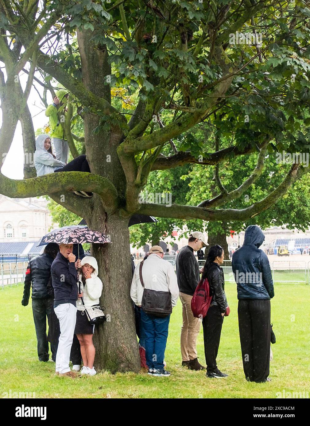 Londres Royaume-Uni 15 juin 2024 - les spectateurs tentent de s'abriter de la pluie torrentielle au Trooping the Colour à Londres aujourd'hui . : Crédit Simon Dack / Alamy Live News Banque D'Images