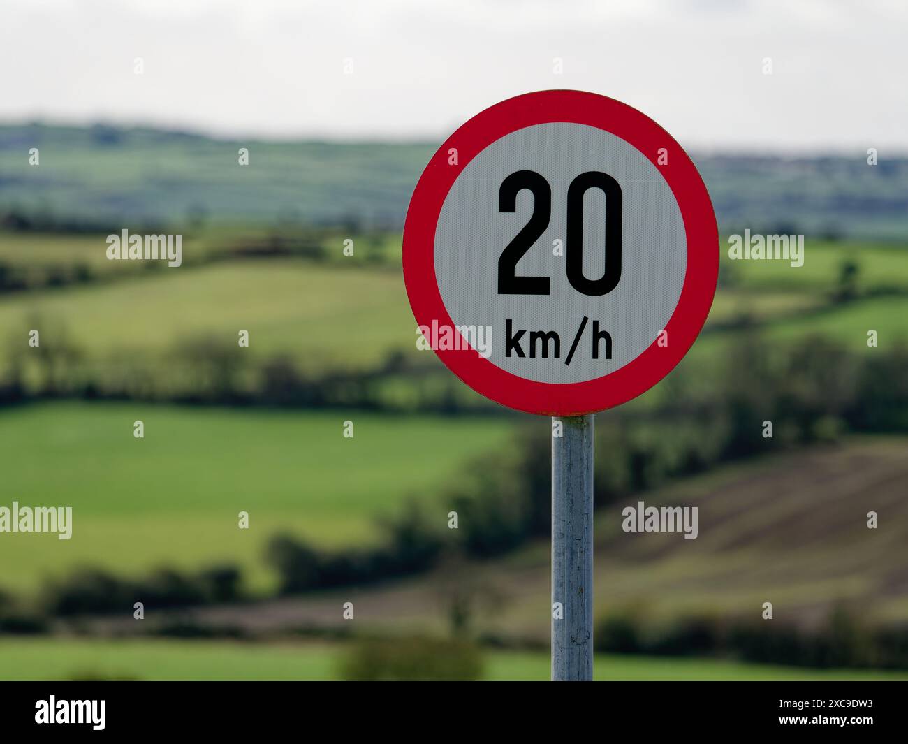 Un panneau rouge et blanc de limitation de vitesse de 20 km/h se dresse sur un fond vert flou, indiquant une réglementation de la circulation dans une zone verdoyante. Banque D'Images