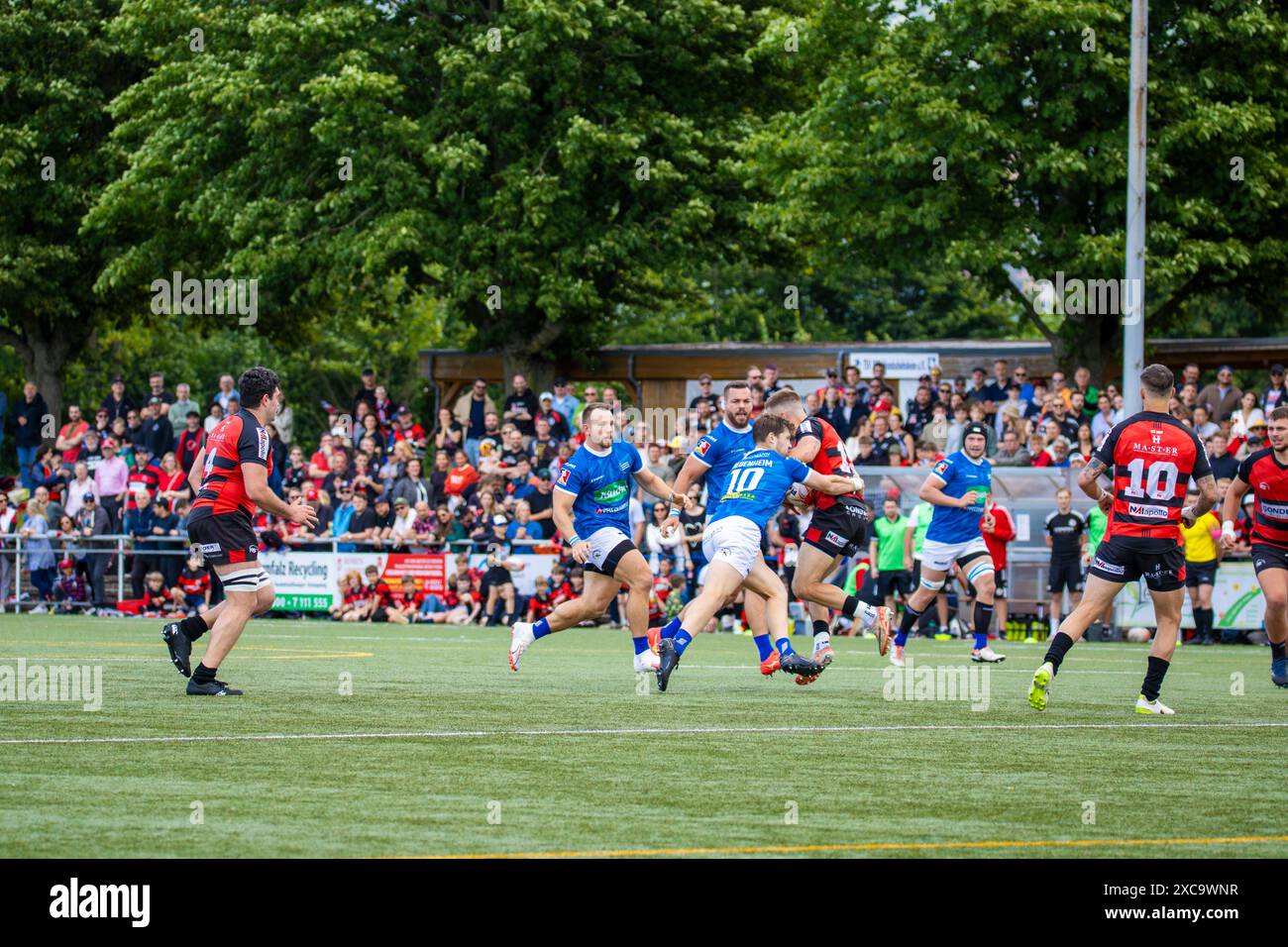 Heidelberg, 15.06.2024, Rugby 1. Bundesliga, saison 2023/24, finale um die deutsche Meisterschaft : SC Frankfurt 1880 gegen SC Neuenheim Banque D'Images