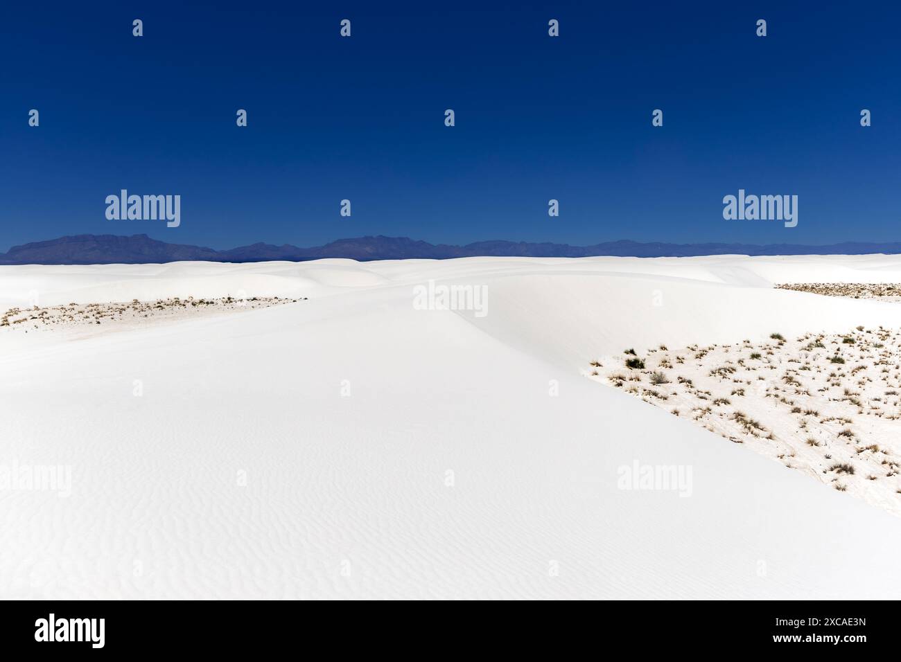 Dunes de sable dans l'Alkali Flat, White Sands National Park, Nouveau-Mexique, États-Unis Banque D'Images