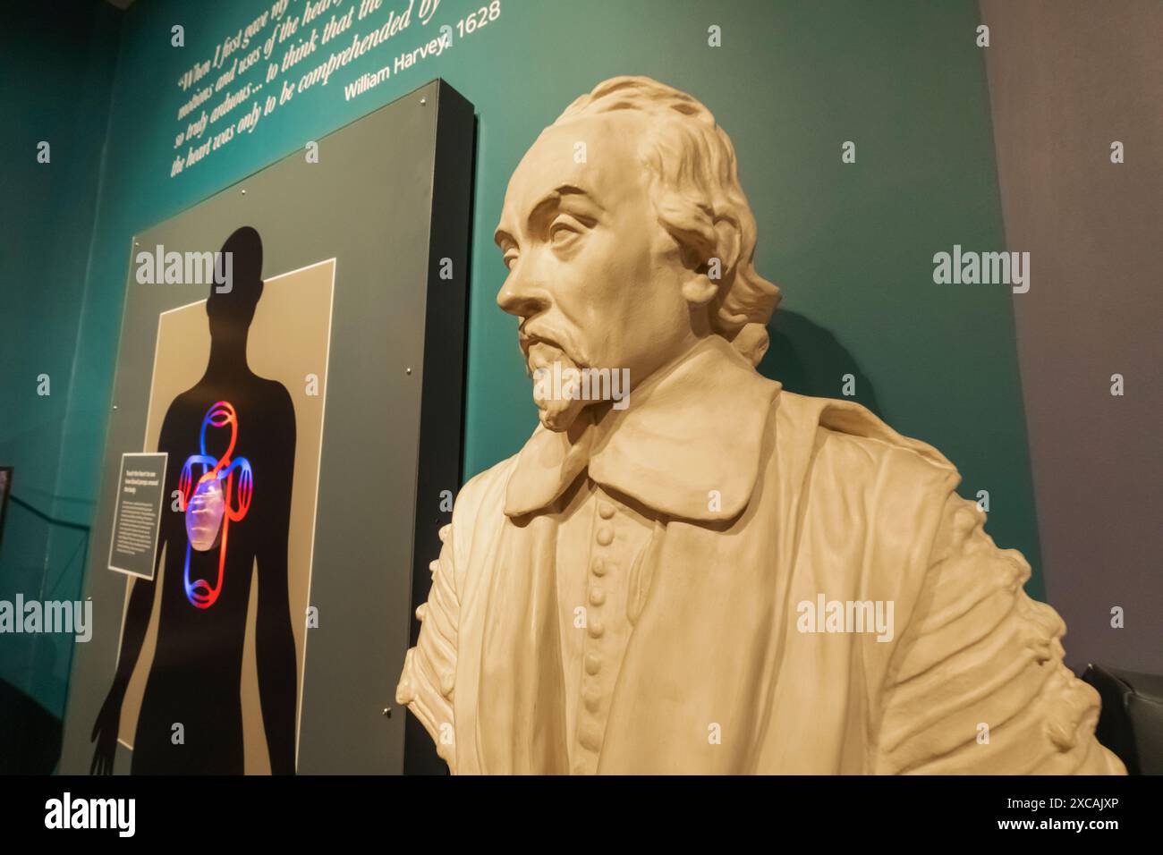 Angleterre, Kent, Folkestone, Folkestone Museum, Statue du médecin William Harvey, le premier médecin connu à décrire complètement l'ic systémique Banque D'Images