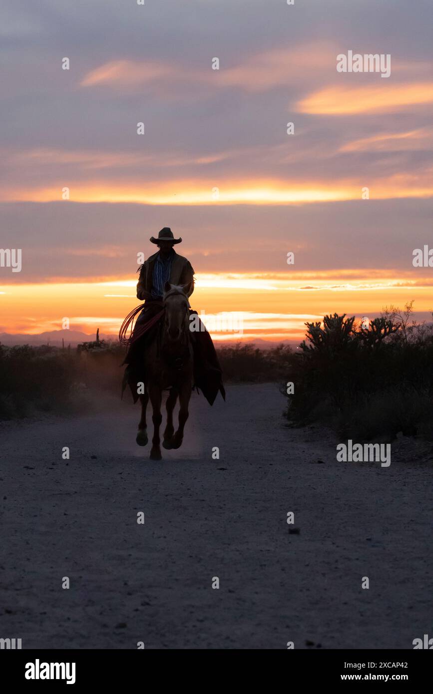 Silhouette de main de ranch, ou cow-boy, montant son cheval dans le coucher du soleil. Banque D'Images