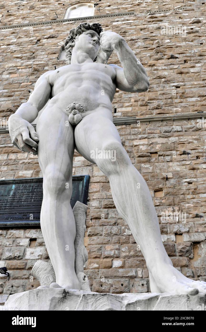 Statue Renaissance de David, Michel-Ange Buonarroti, Florence, site du patrimoine mondial de l'UNESCO, Toscane, Italie, Europe, sculpture monumentale en pierre de Banque D'Images