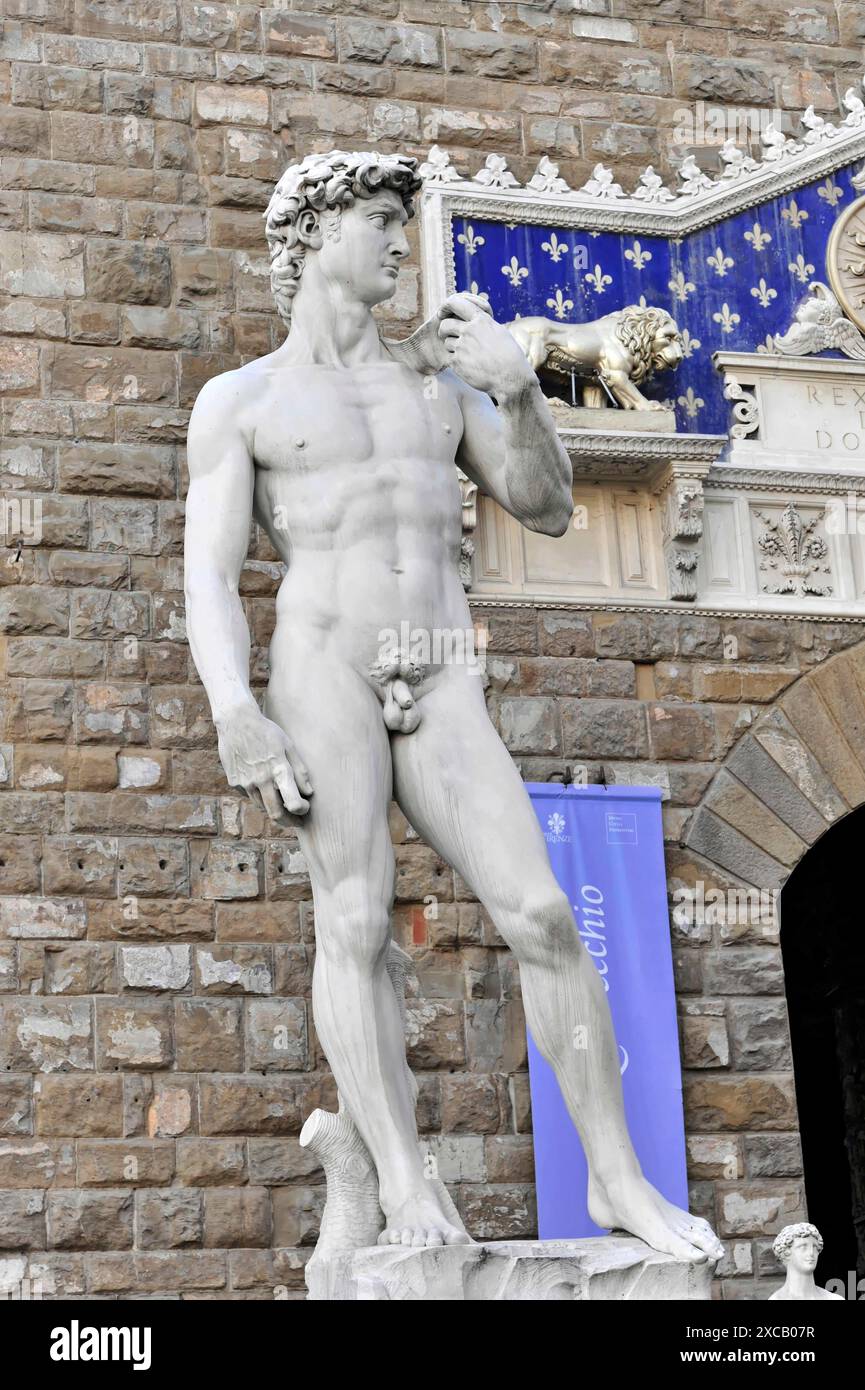 Statue Renaissance de David, Michel-Ange Buonarroti, Florence, Patrimoine mondial de l'UNESCO, Toscane, Italie, Europe, sculpture Renaissance de David In Banque D'Images