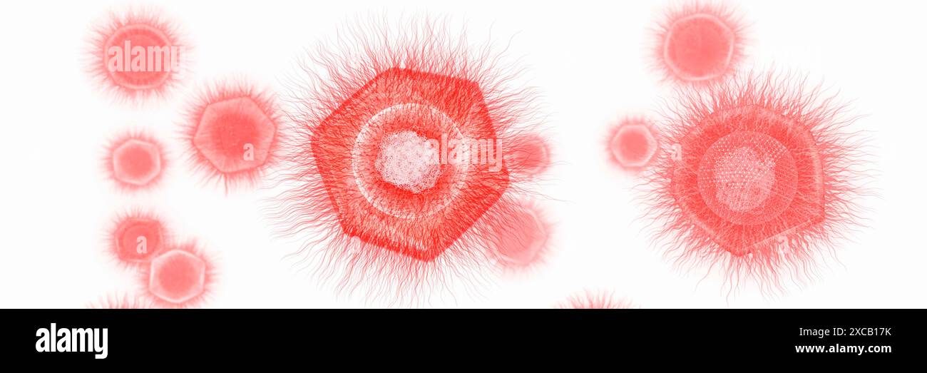 Illustration du catovirus (CATV) Naegleria ou du virus Naegleria (NV). Il s'agit d'un virus géant à ADN nucléocytoplasmique (acide désoxyribonucléique) qui peut détruire Naegleria fowleri, l'amibe mangeuse de cerveau. Banque D'Images