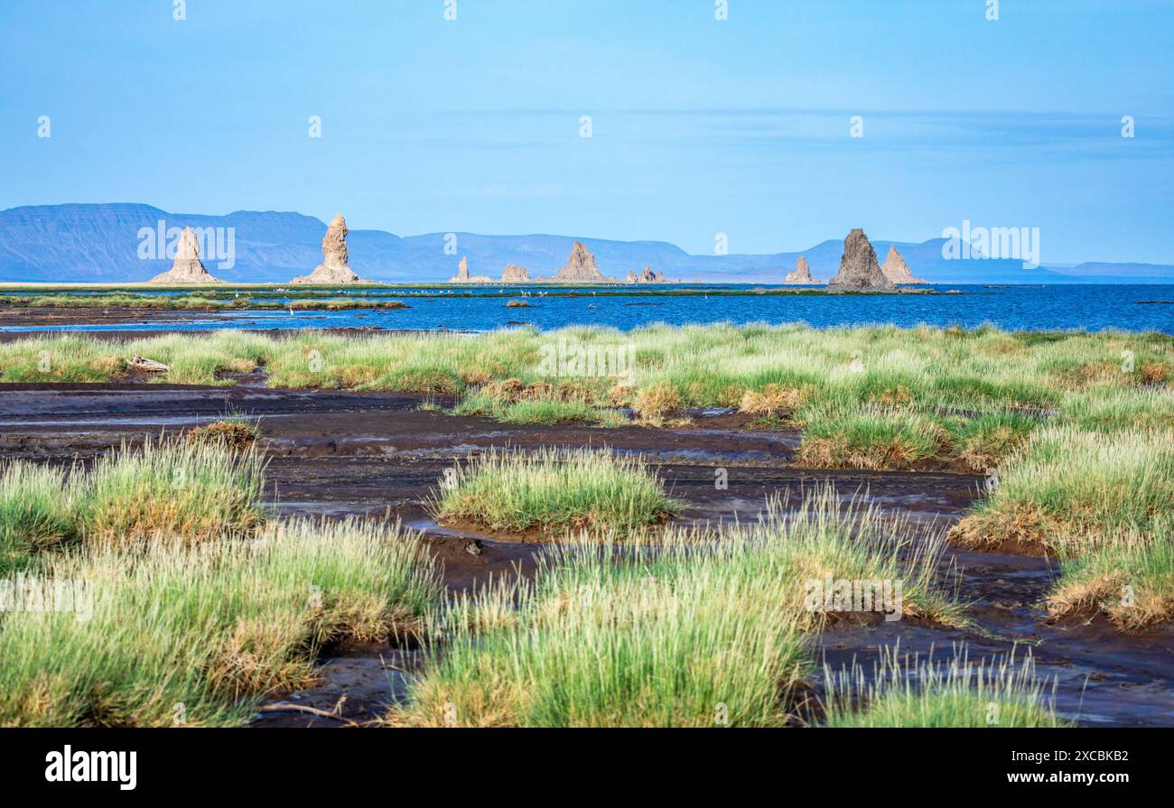 Cheminées préhistoriques calcaires formations rocheuses géologiques au milieu du lac salé Abbe, région de Dikhil, Djibouti Banque D'Images