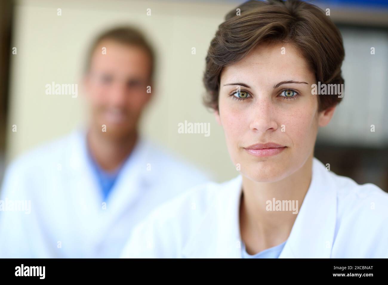 Chercheurs, bureau, Fondation Tecnalia, Centre technologique et de recherche, Parc technologique de Saint-Sébastien, Donostia, Gipuzkoa, pays Basque, Espagne Banque D'Images