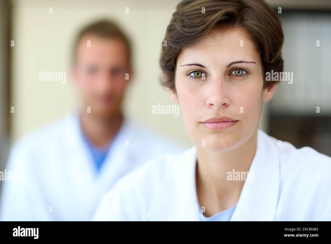 Chercheurs, bureau, Fondation Tecnalia, Centre technologique et de recherche, Parc technologique de Saint-Sébastien, Donostia, Gipuzkoa, pays Basque, Espagne Banque D'Images