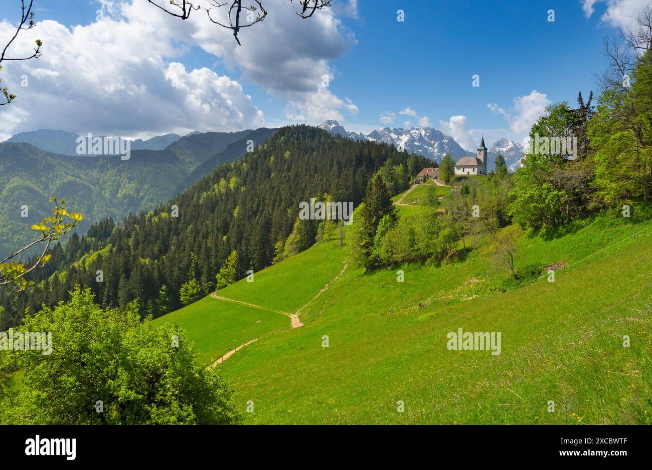 Église Cerkev Sveti Duh à Solčava avec chaîne de montagnes Kamnik–Savinja Alpes en Slovénie Banque D'Images