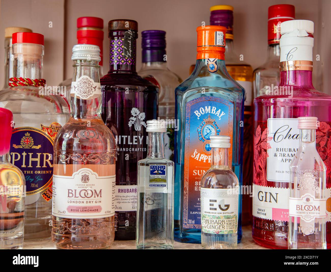 Une variété de bouteilles de gin sur une étagère dans un éclairage doux, présentant différentes marques et conceptions d'étiquettes Banque D'Images