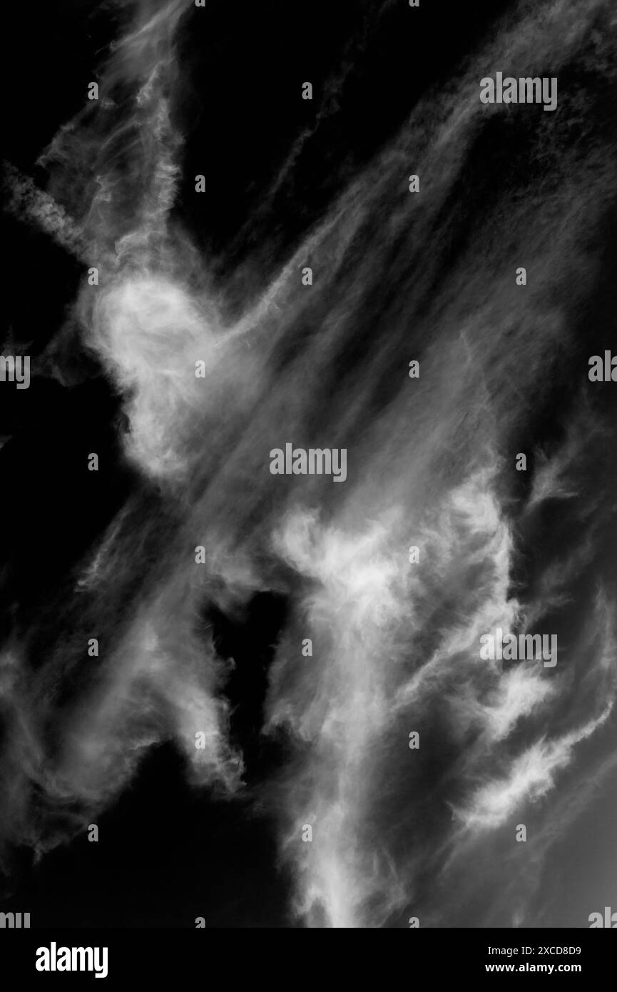 Vue en noir et blanc de nuages inhabituels contre le ciel clair ; Joshua Tree National Park ; Californie ; États-Unis Banque D'Images