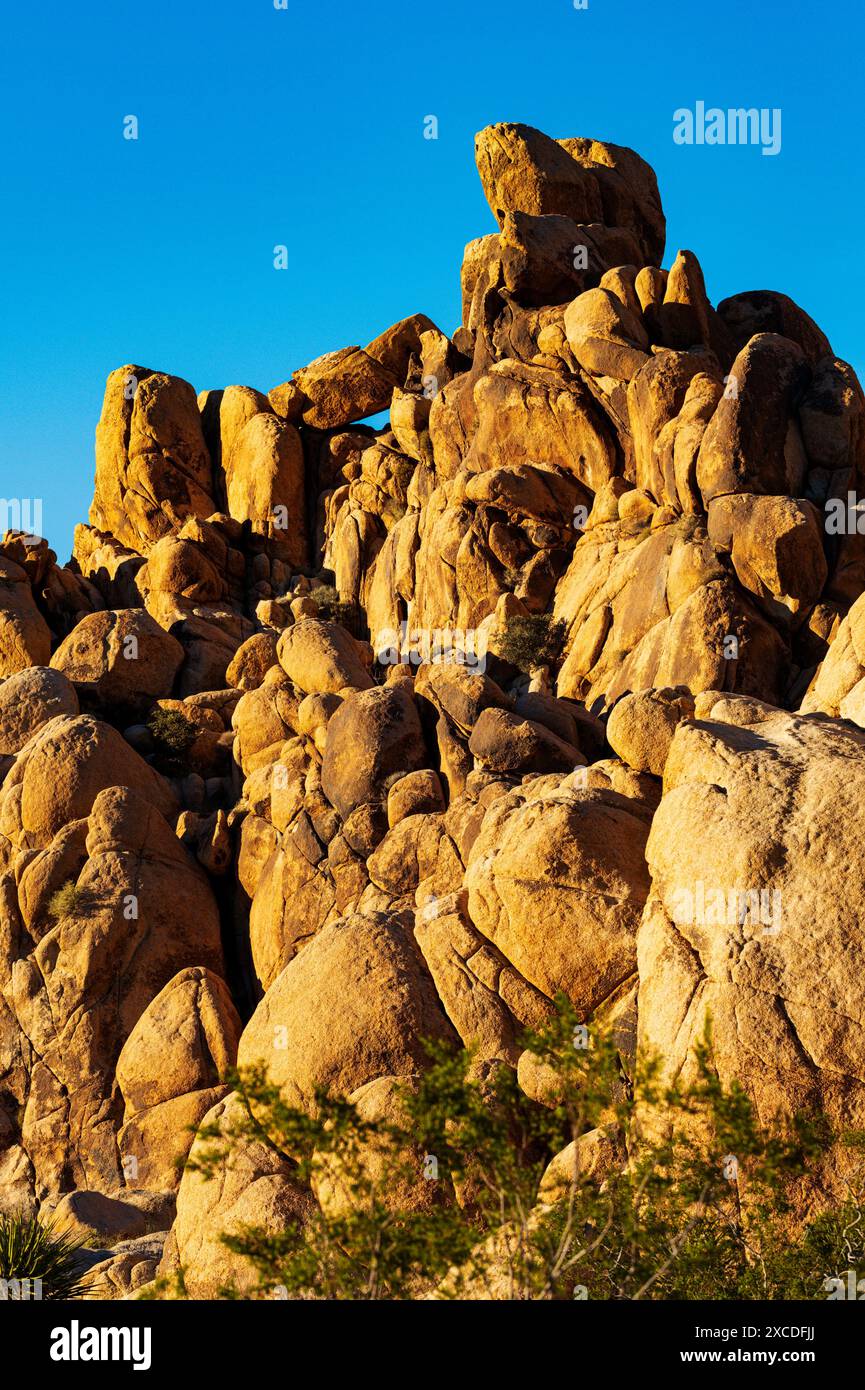 Formations rocheuses inhabituelles ; terrain de camping Indian Cove ; parc national Joshua Tree ; Californie du Sud ; États-Unis Banque D'Images