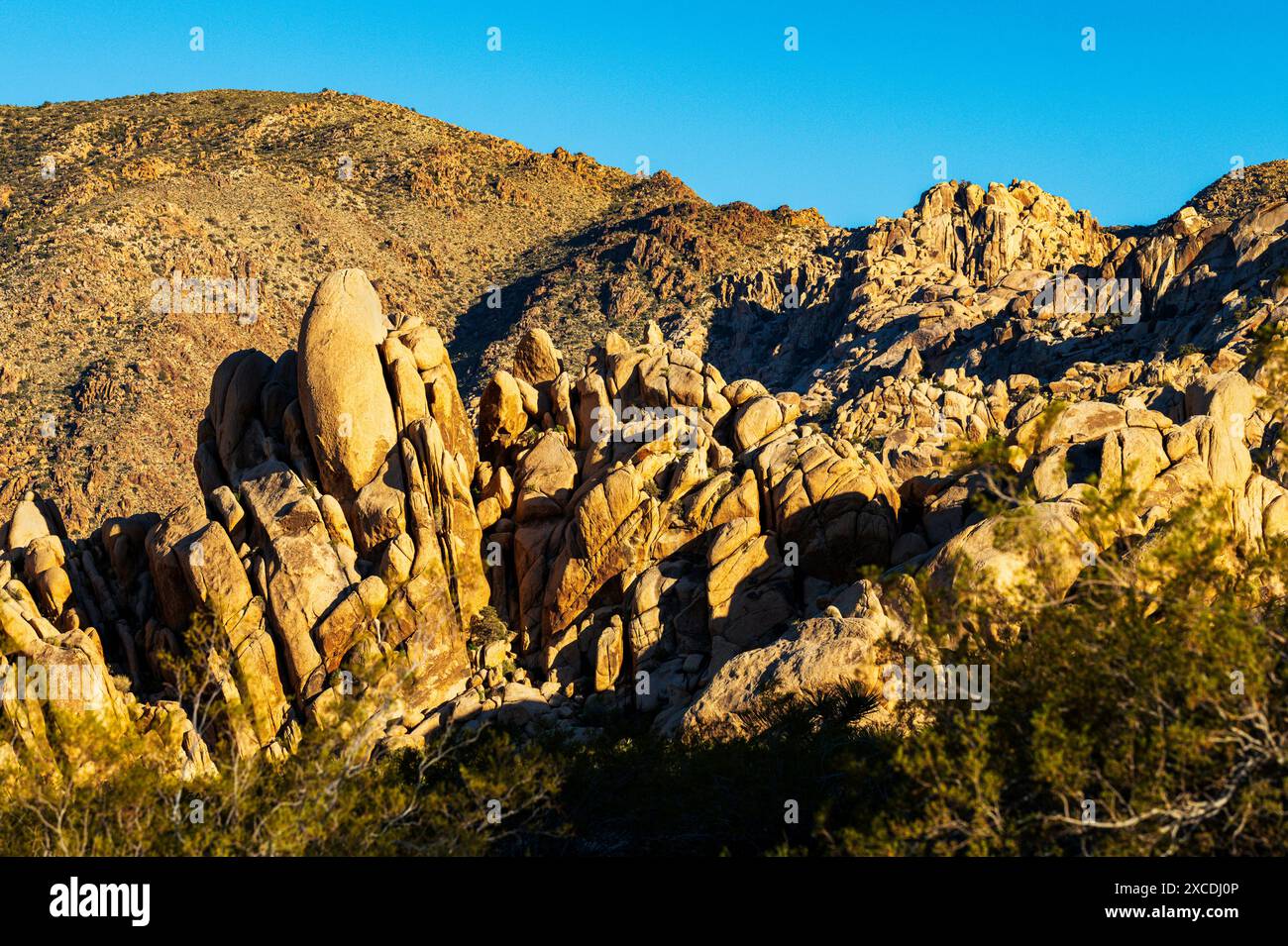 Formations rocheuses inhabituelles ; terrain de camping Indian Cove ; parc national Joshua Tree ; Californie du Sud ; États-Unis Banque D'Images
