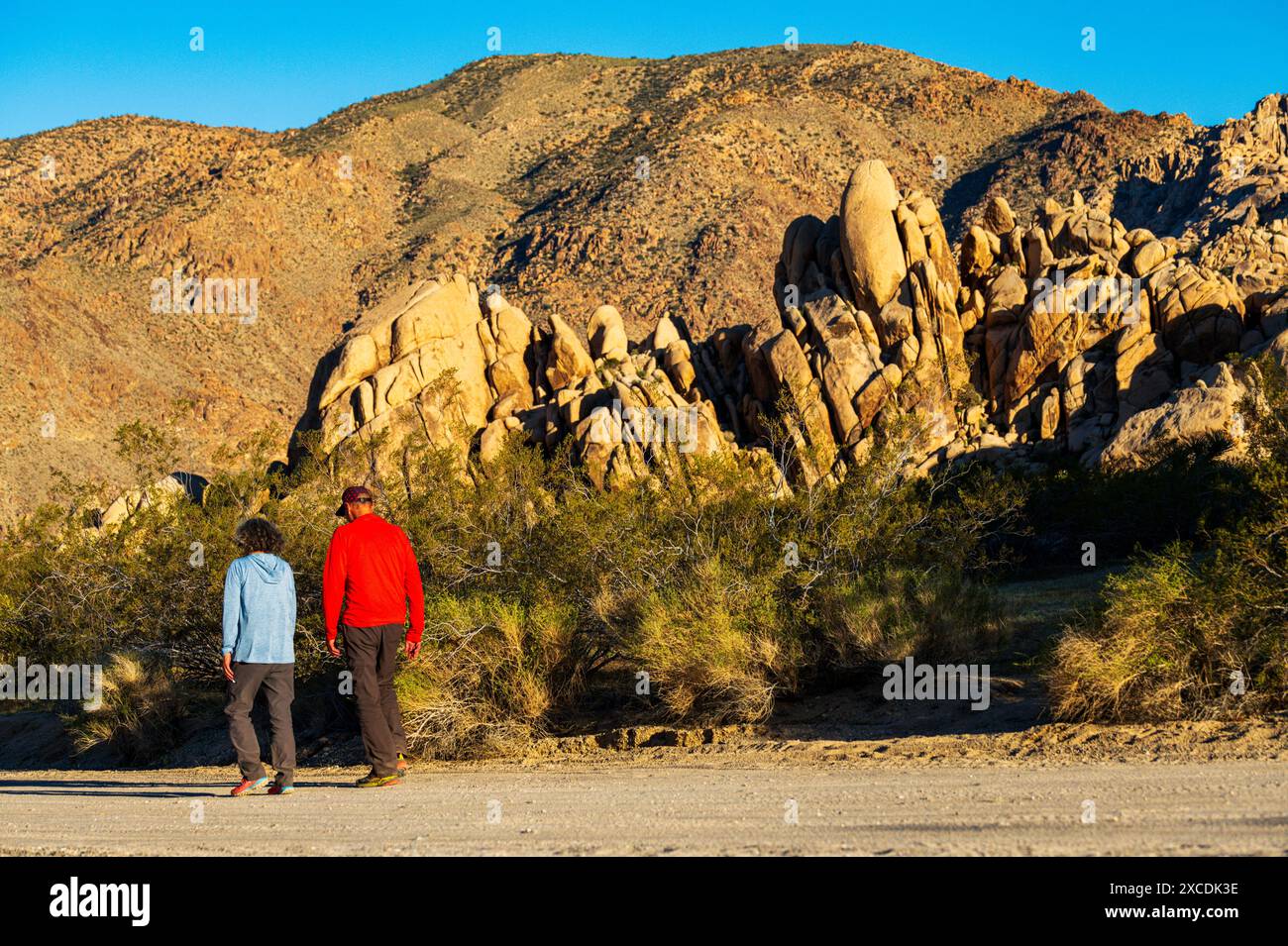 Visiteurs marchant ; terrain de camping Indian Cove ; parc national Joshua Tree ; Californie du Sud ; États-Unis Banque D'Images