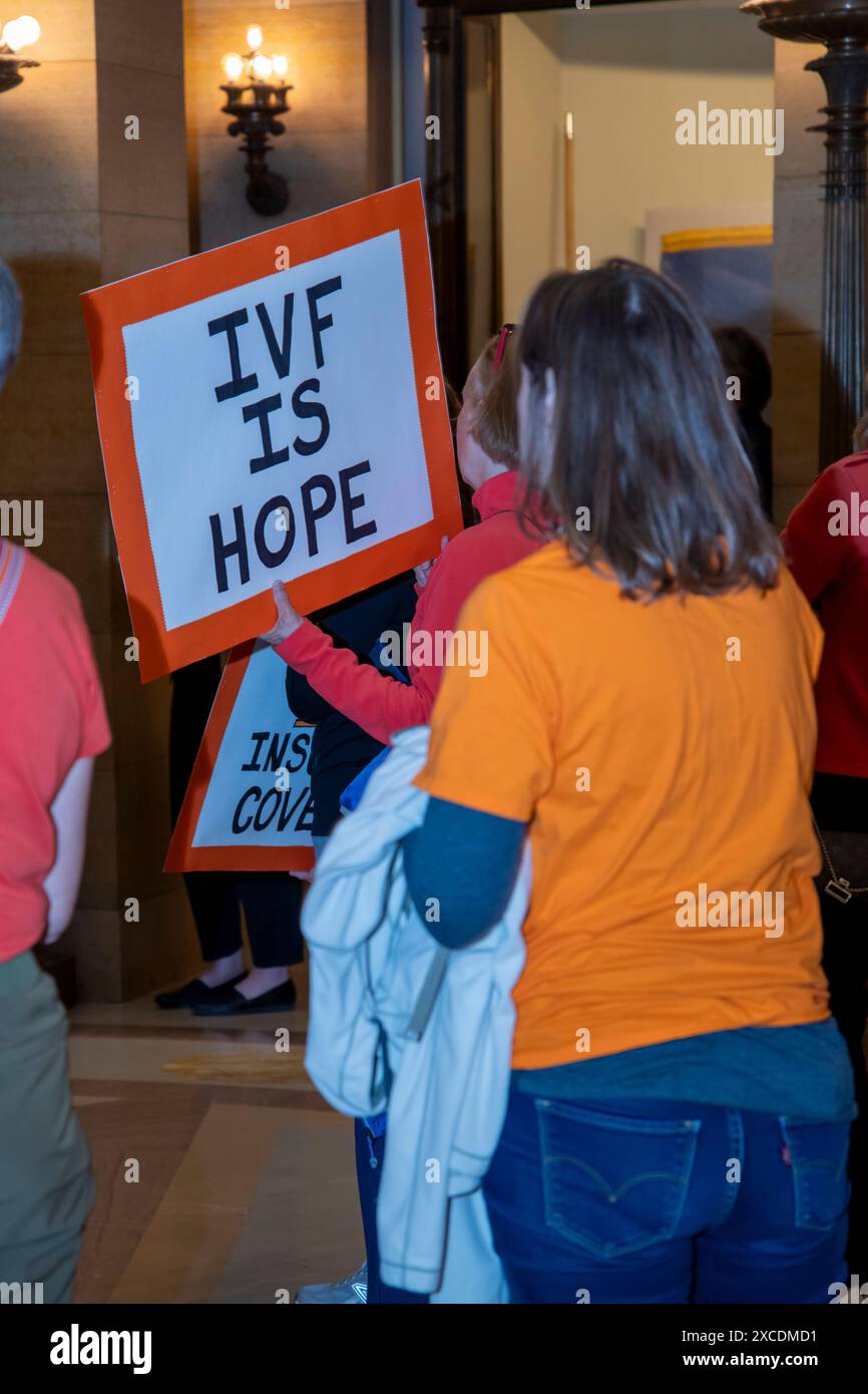 Paul, Minnesota. Capitole d'État. Rassemblement de fécondation in vitro pour soutenir plus d'assurance fertilité et pour aider plus de familles du Minnesota à lutter Banque D'Images